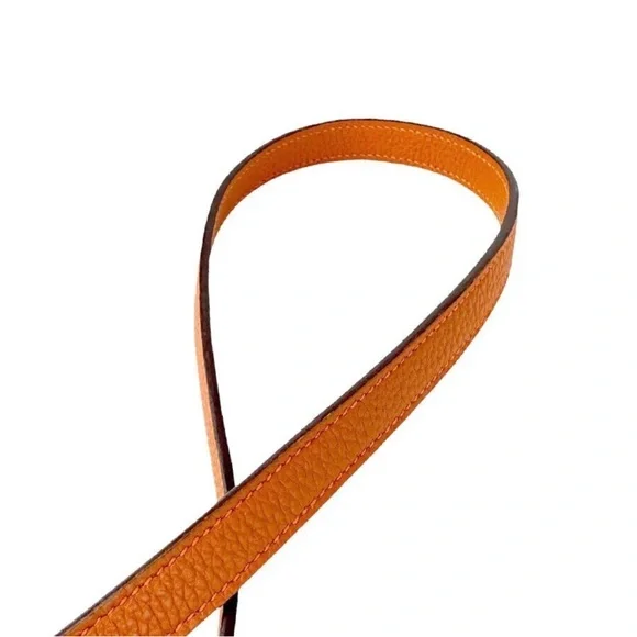 Hermes Orange Pet Collar and Leash Set - Picture 12 of 16